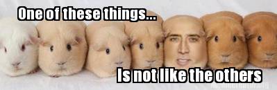 oneofthesethings...is not like the other